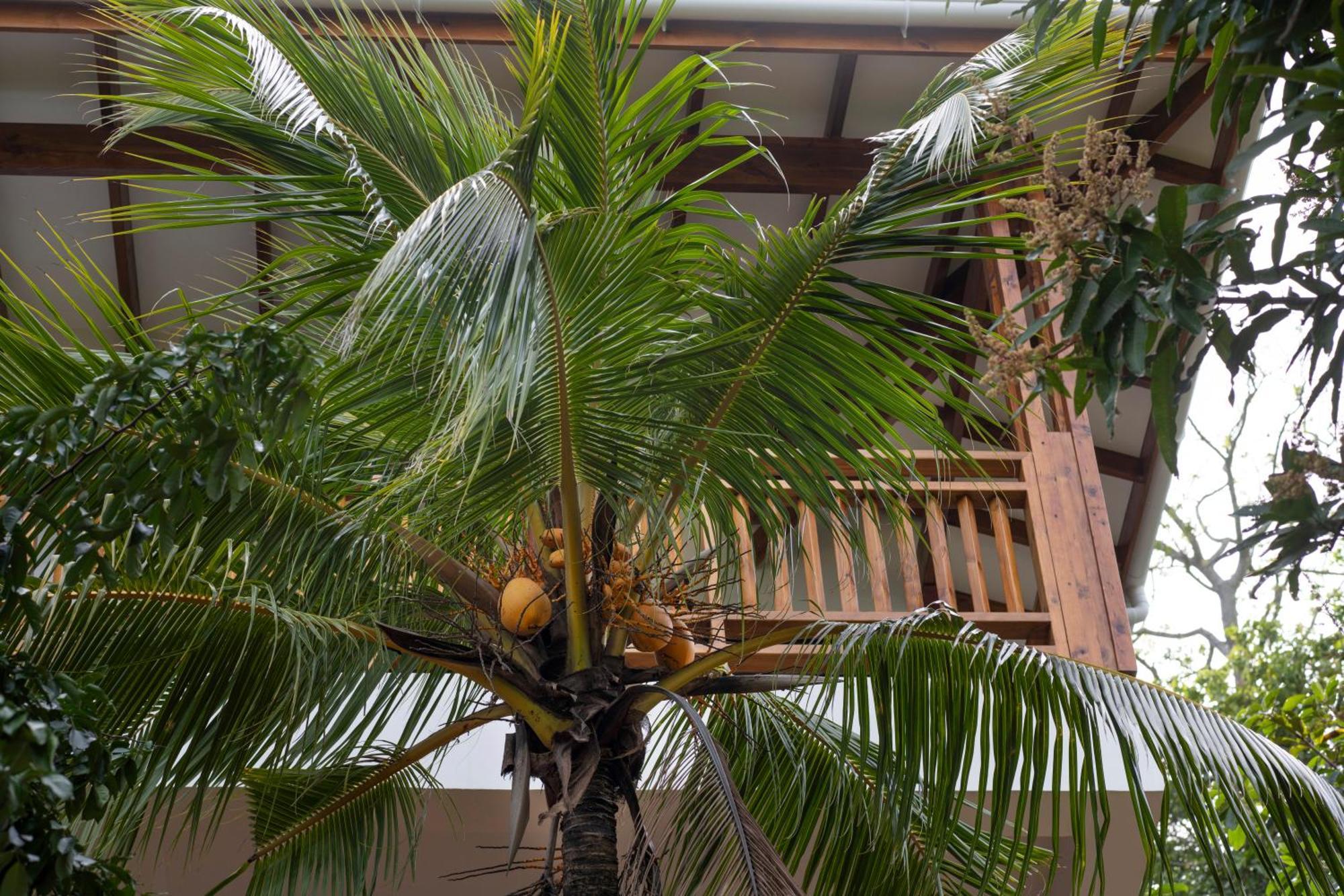Sunbird Villas Glacis  Exterior photo